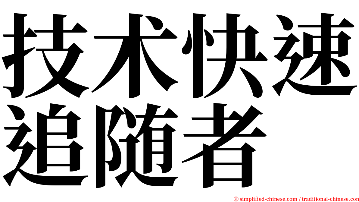 技术快速追随者 serif font