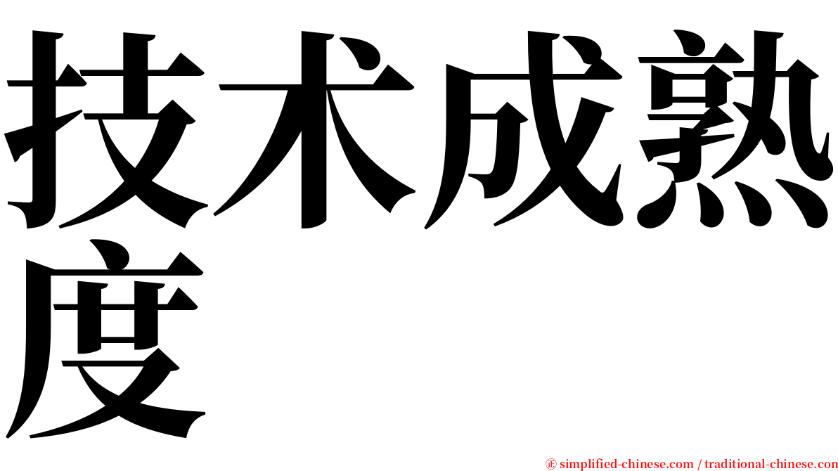 技术成熟度 serif font