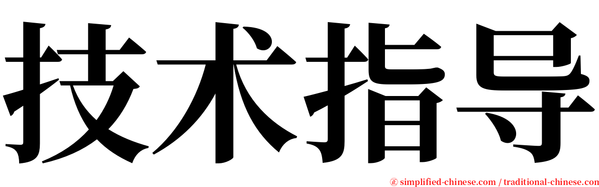 技术指导 serif font