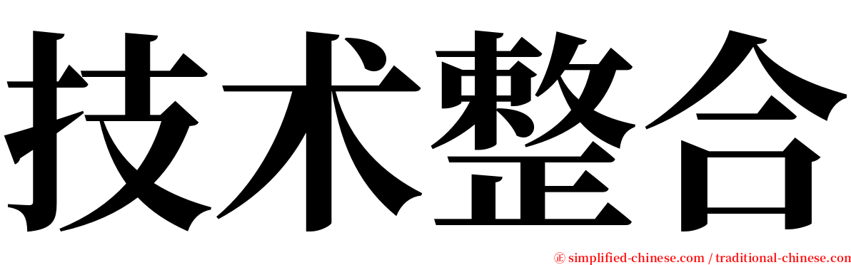 技术整合 serif font