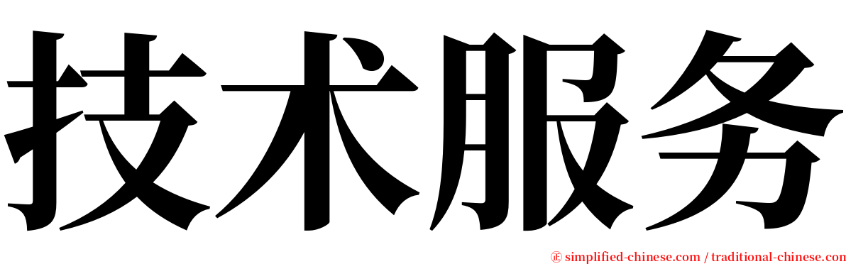 技术服务 serif font