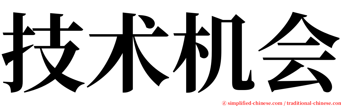 技术机会 serif font