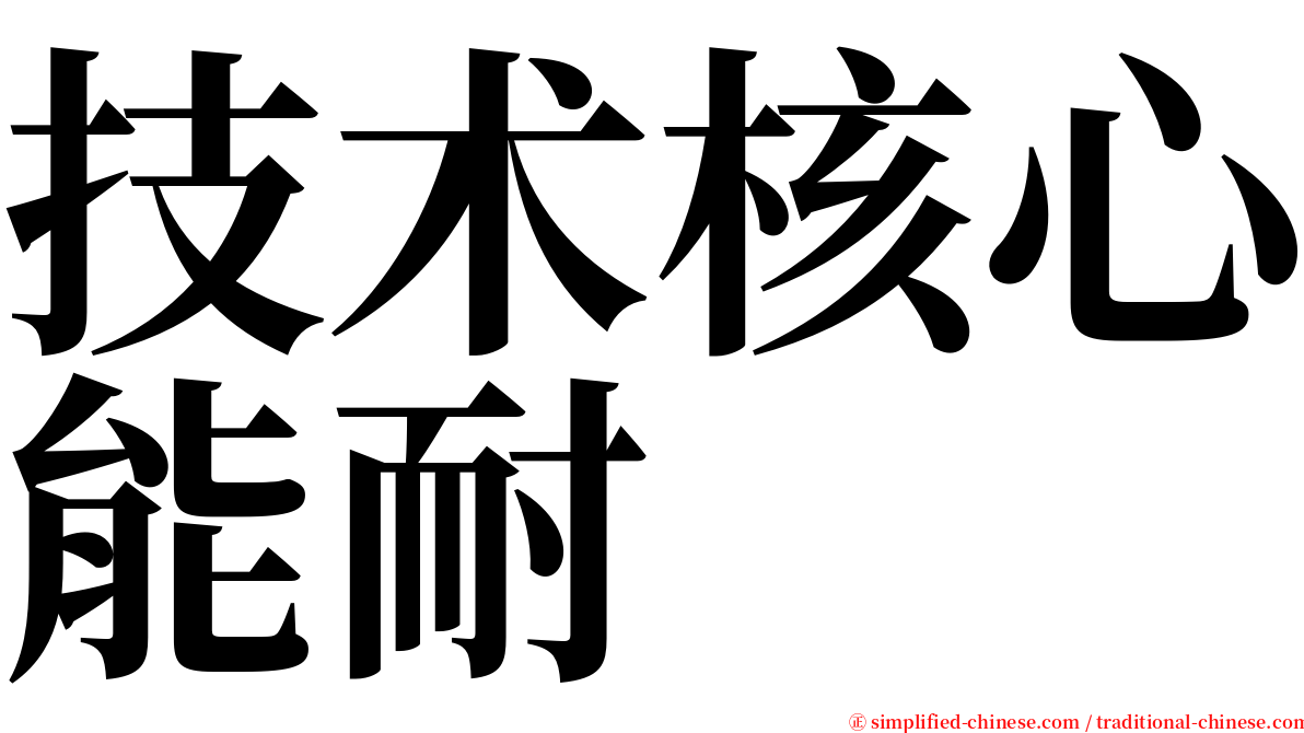 技术核心能耐 serif font