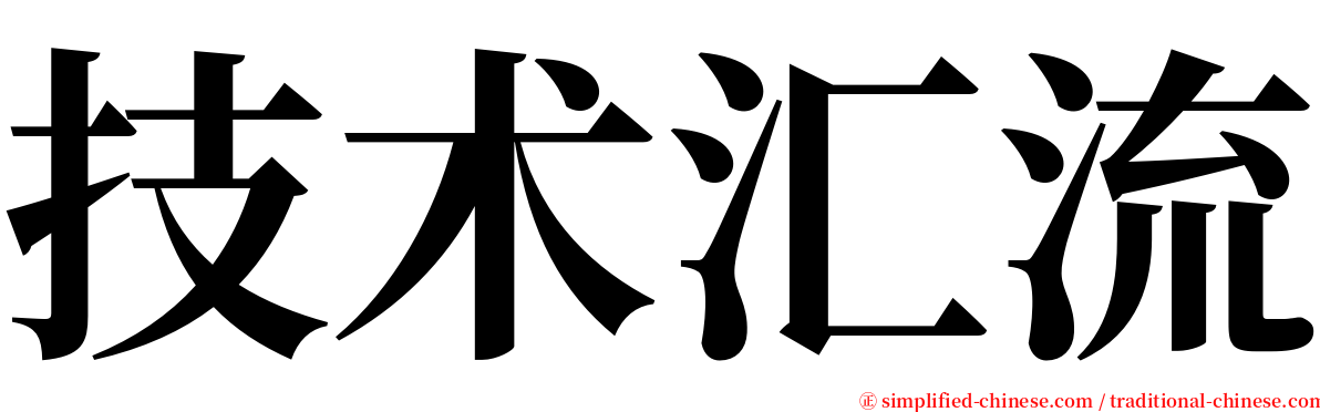 技术汇流 serif font