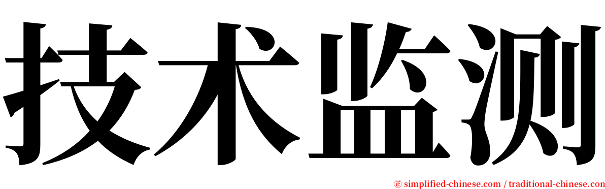 技术监测 serif font