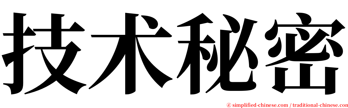 技术秘密 serif font