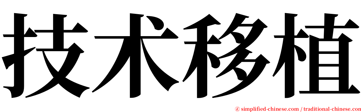 技术移植 serif font