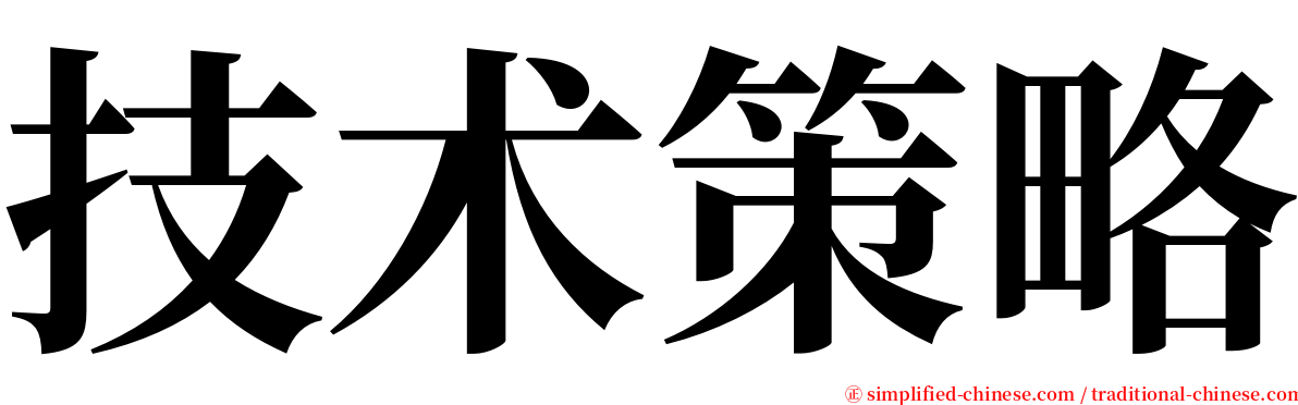 技术策略 serif font