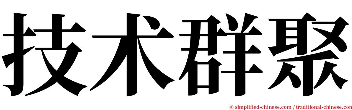 技术群聚 serif font