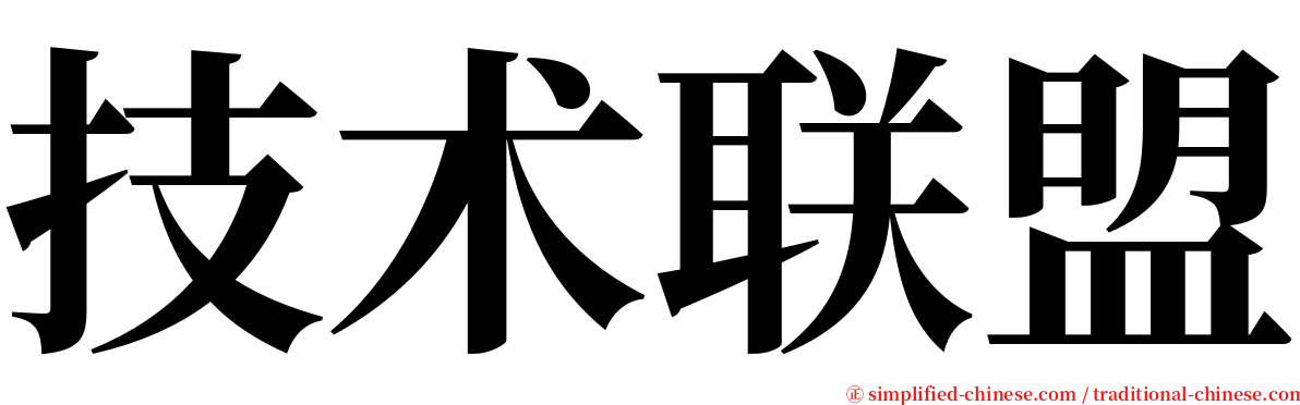 技术联盟 serif font