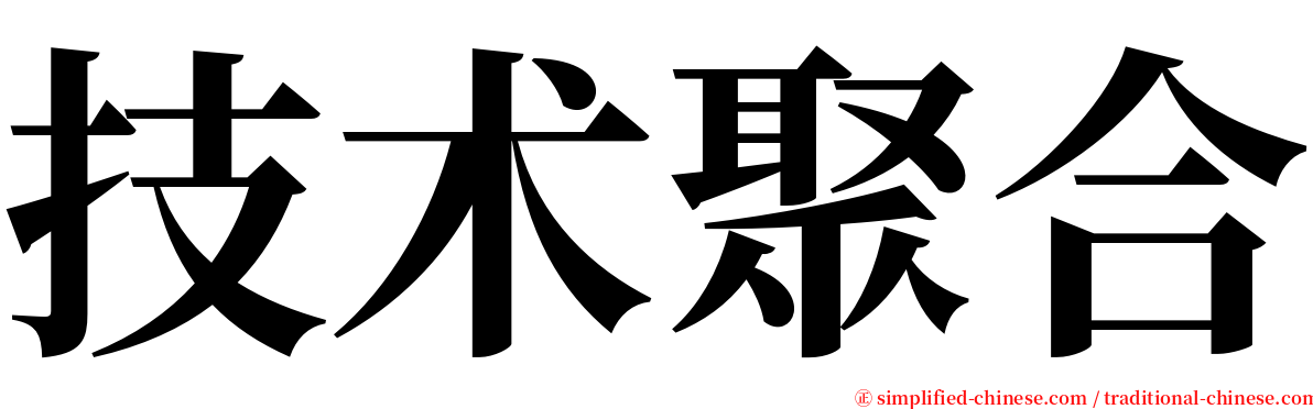 技术聚合 serif font