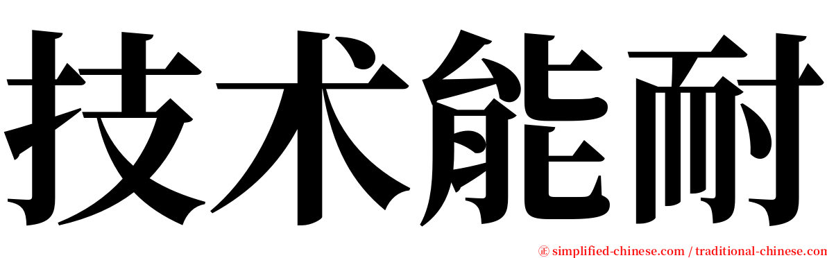 技术能耐 serif font