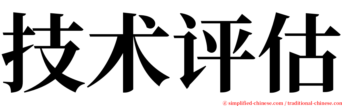 技术评估 serif font