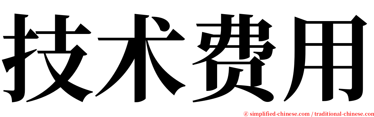 技术费用 serif font