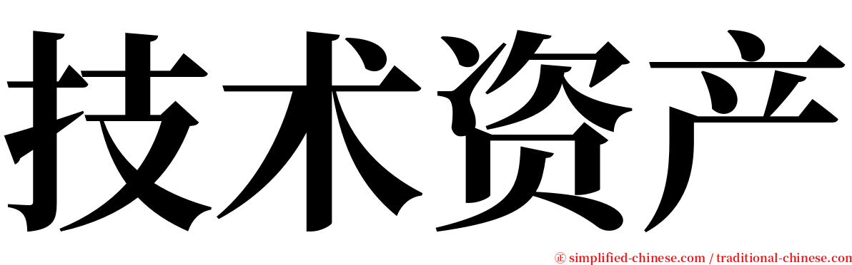 技术资产 serif font