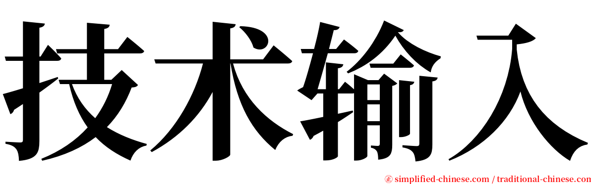 技术输入 serif font