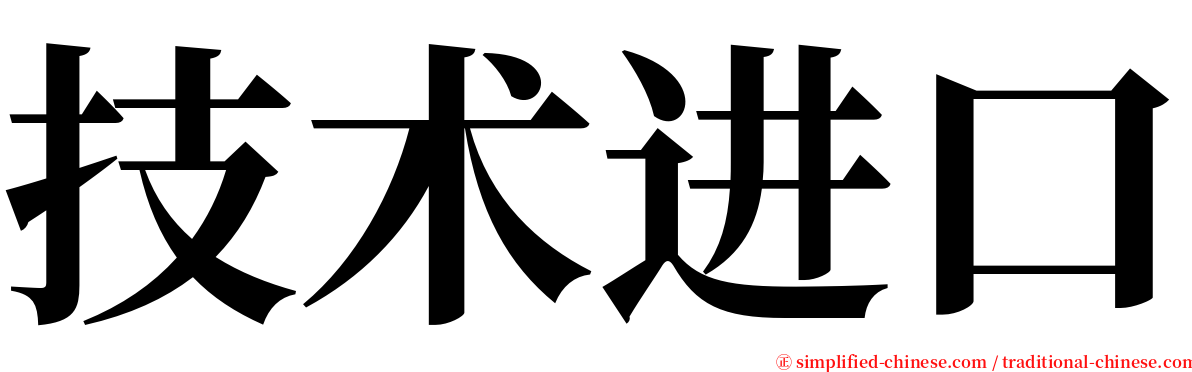 技术进口 serif font