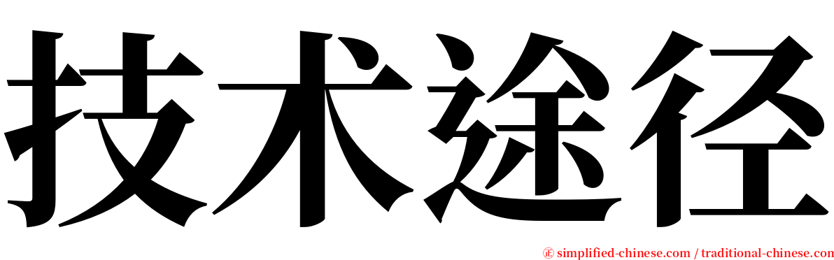 技术途径 serif font