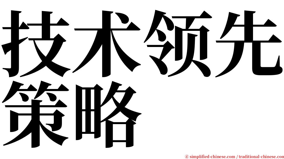 技术领先策略 serif font