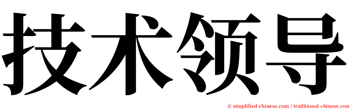 技术领导 serif font