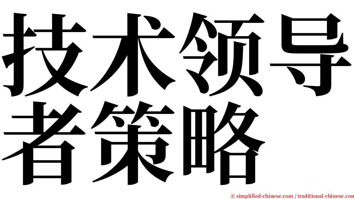 技术领导者策略 serif font