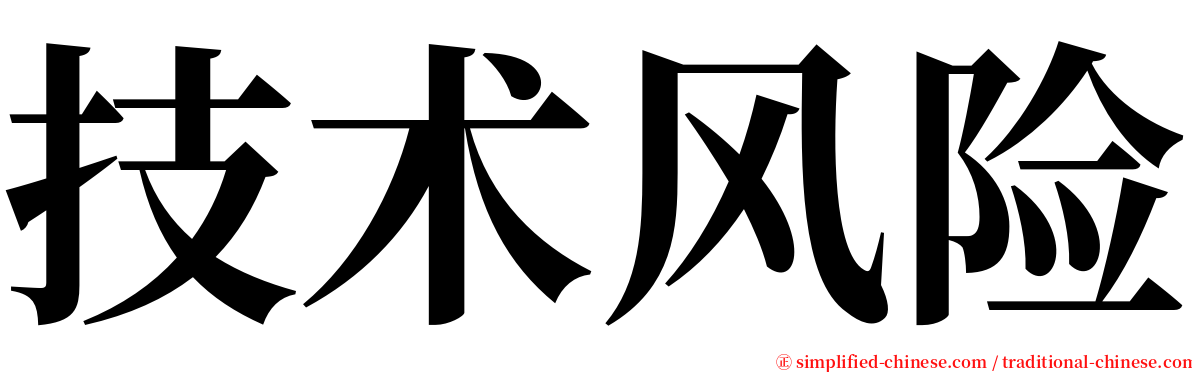 技术风险 serif font