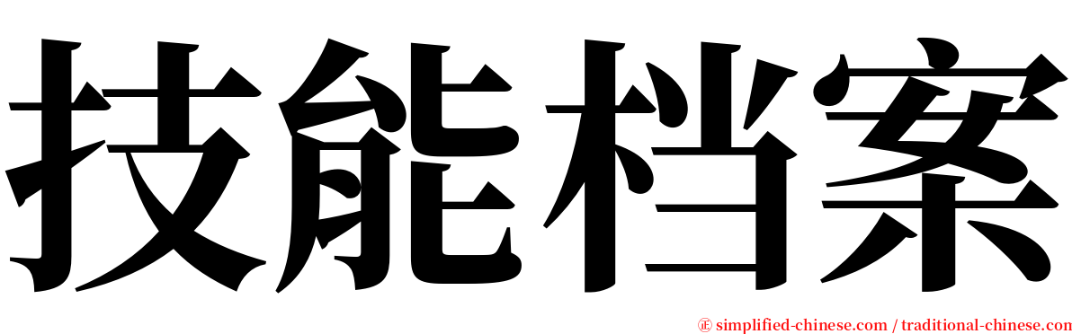 技能档案 serif font