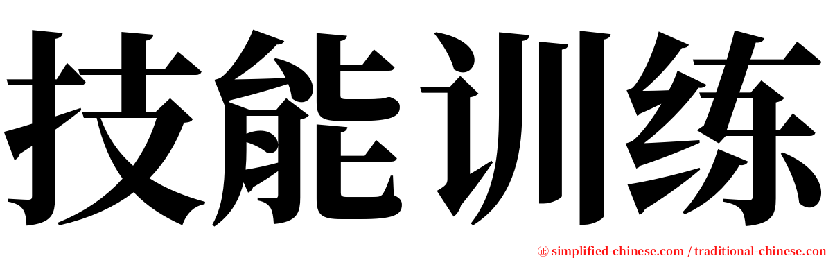 技能训练 serif font