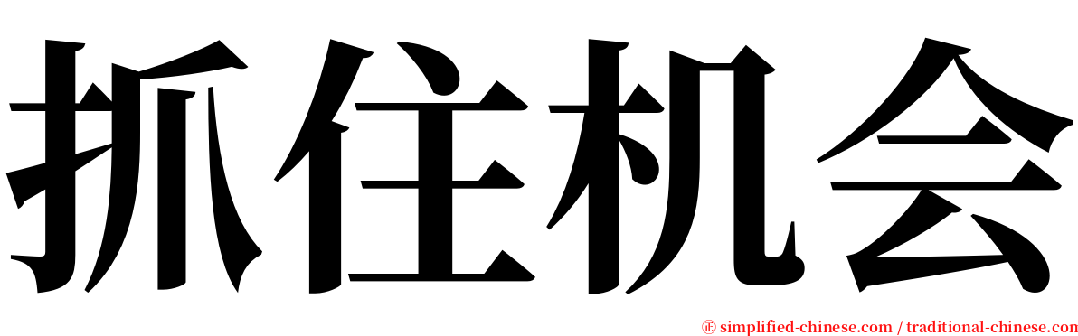 抓住机会 serif font