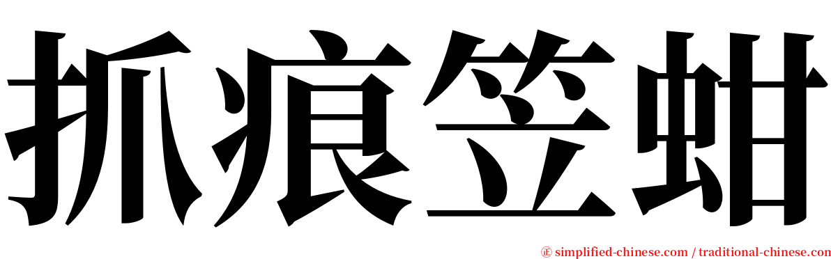 抓痕笠蚶 serif font