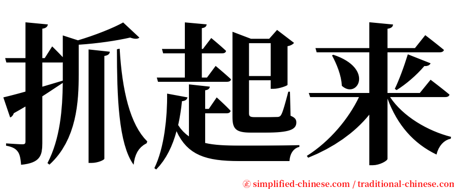 抓起来 serif font