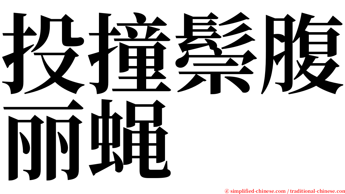 投撞鬃腹丽蝇 serif font