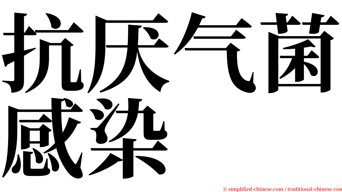 抗厌气菌感染 serif font
