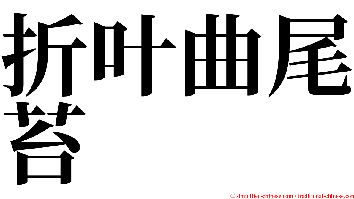 折叶曲尾苔 serif font