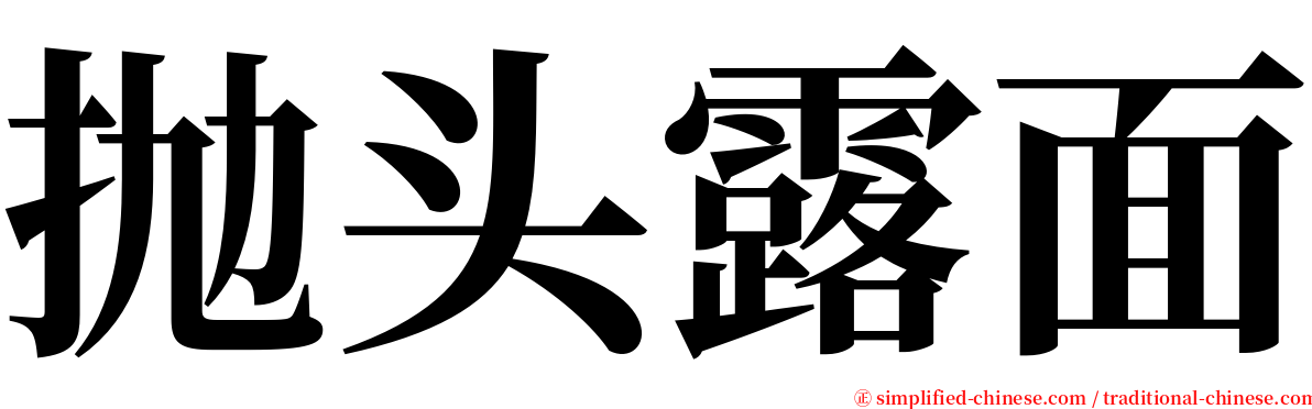 抛头露面 serif font