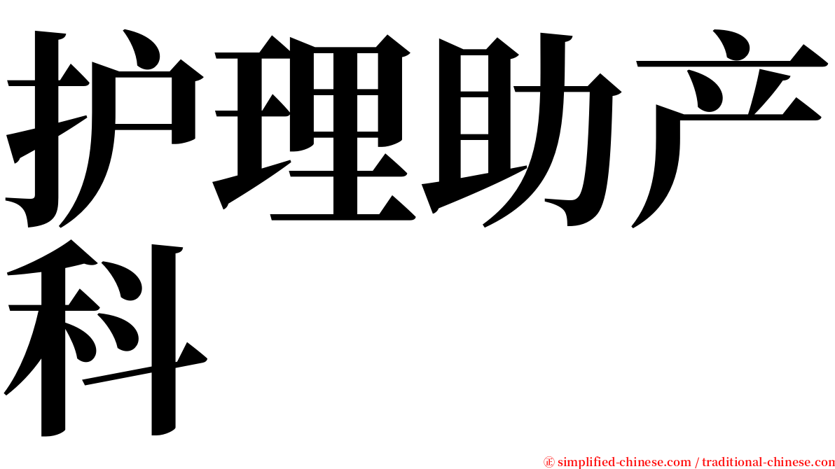 护理助产科 serif font