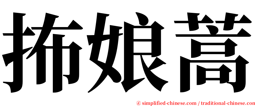 抪娘蒿 serif font