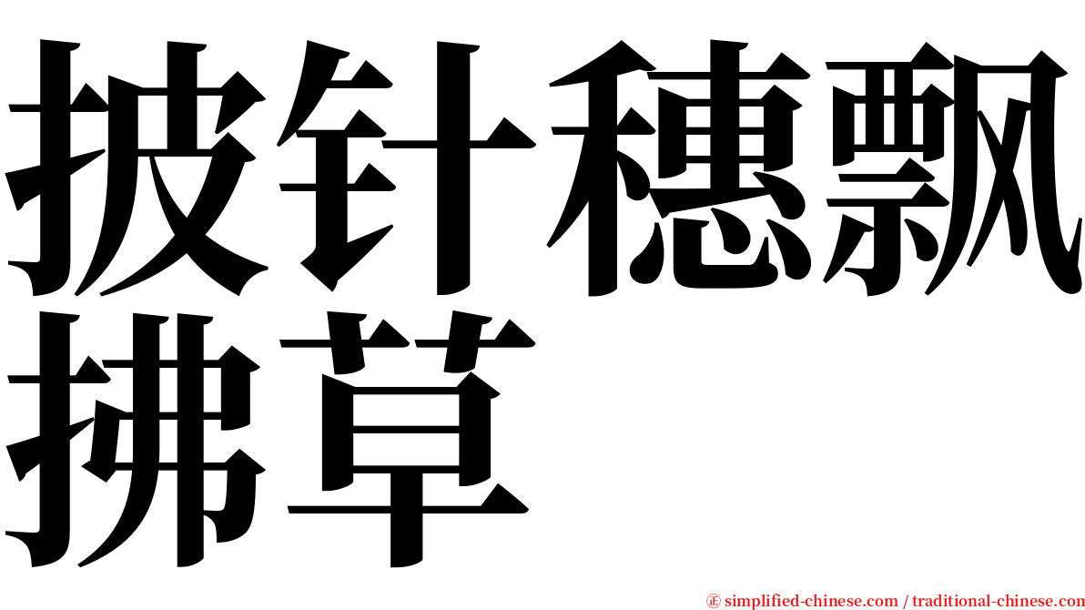 披针穗飘拂草 serif font