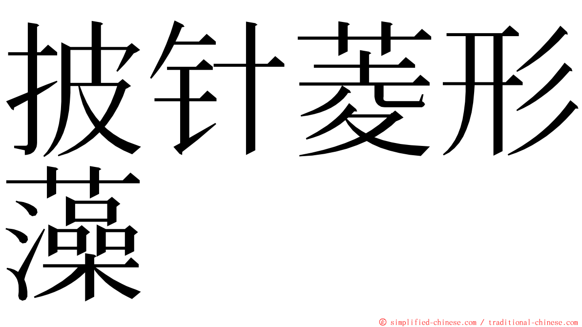 披针菱形藻 ming font