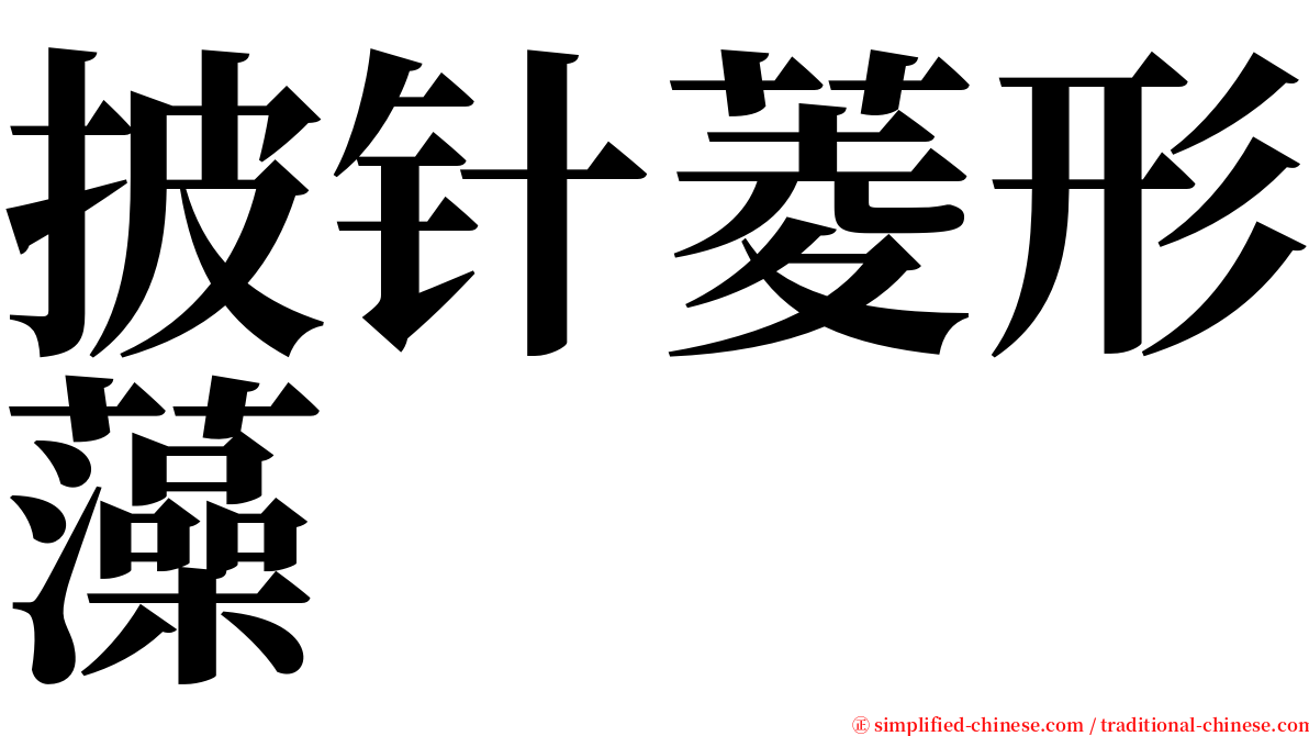 披针菱形藻 serif font