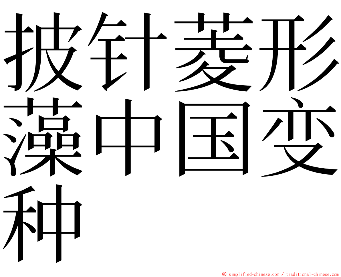 披针菱形藻中国变种 ming font