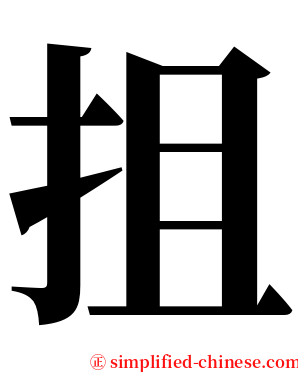 抯 serif font