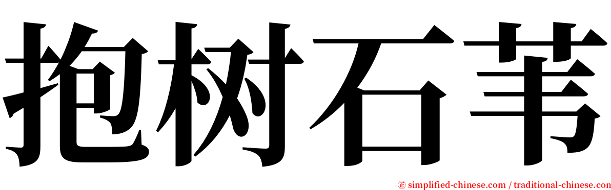 抱树石苇 serif font