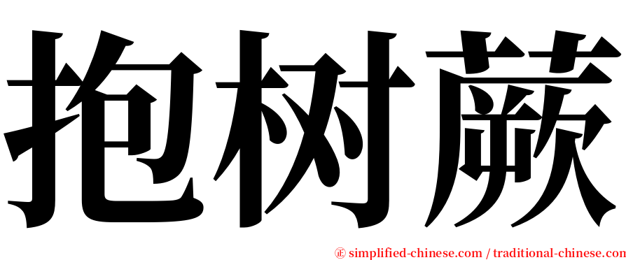 抱树蕨 serif font