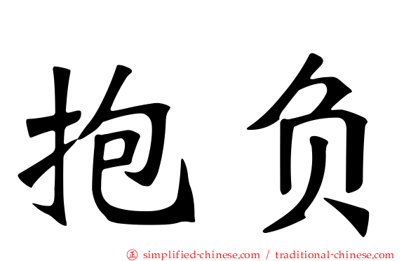 抱负