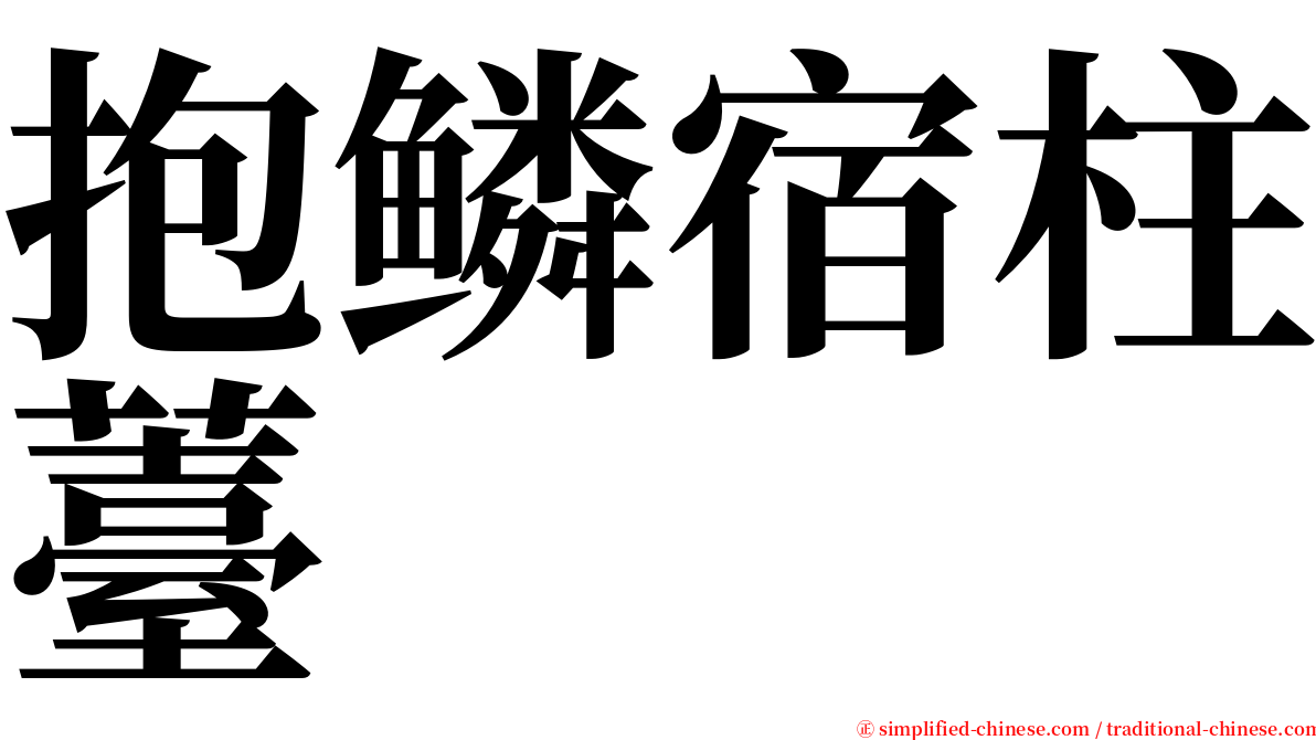 抱鳞宿柱薹 serif font