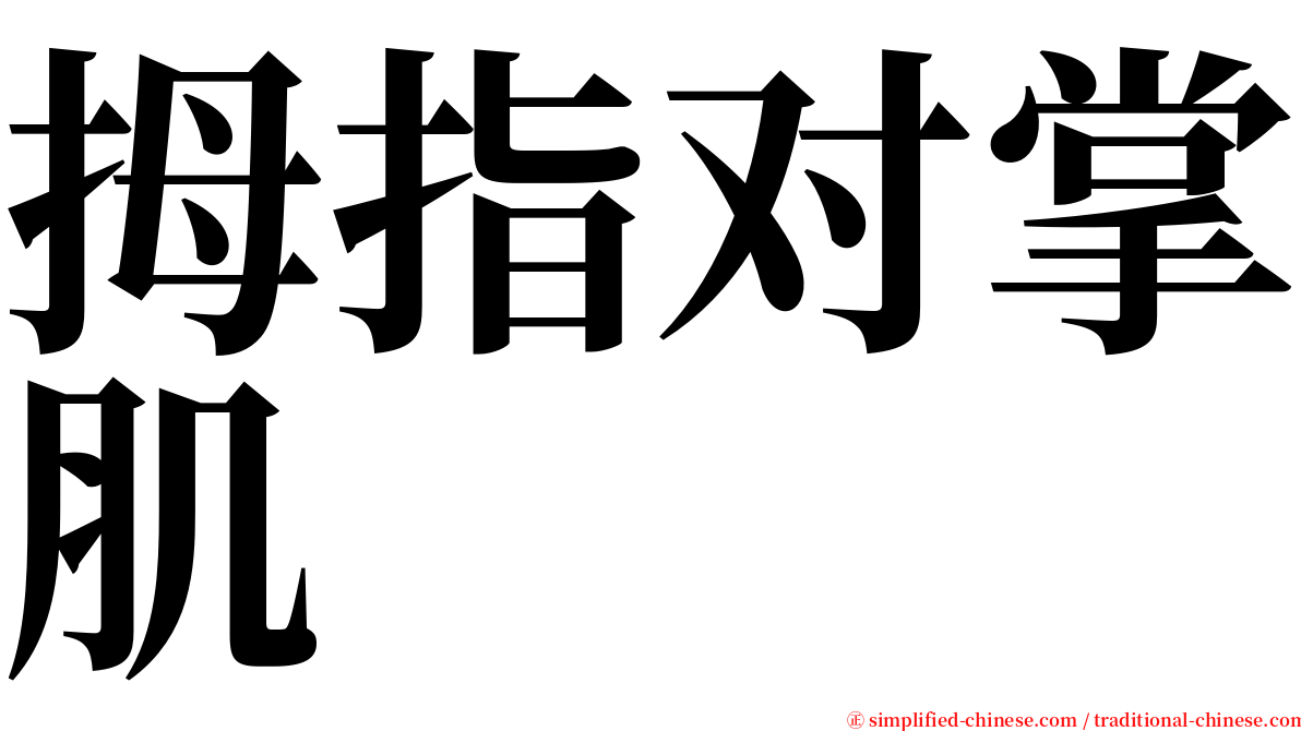 拇指对掌肌 serif font