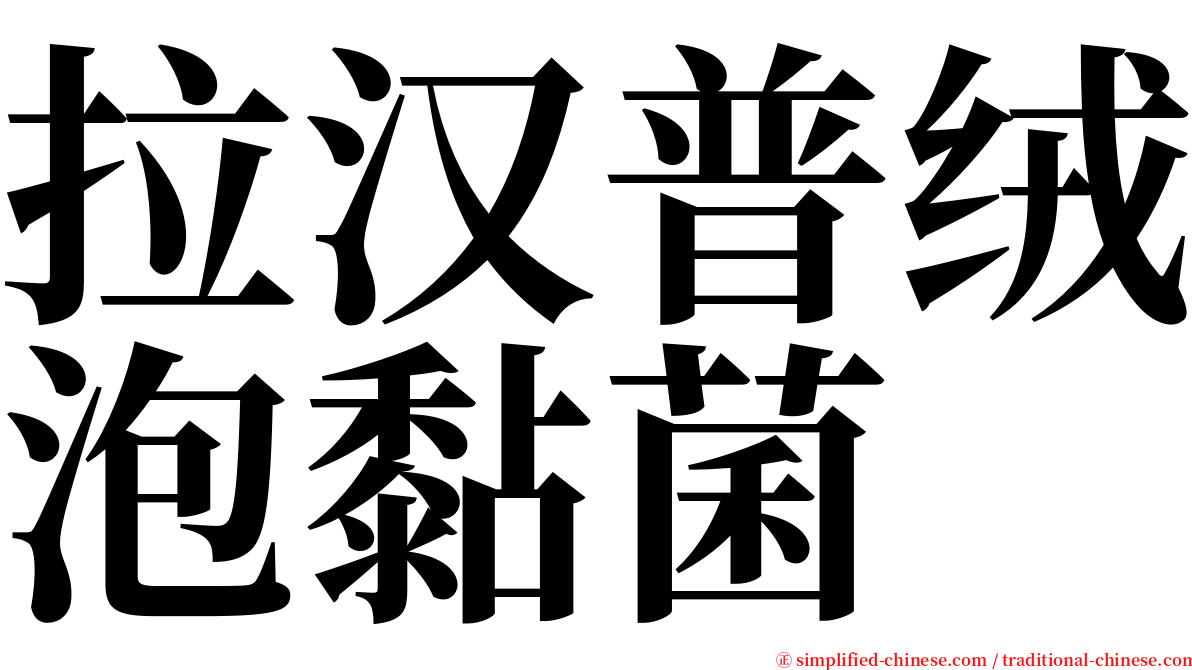 拉汉普绒泡黏菌 serif font