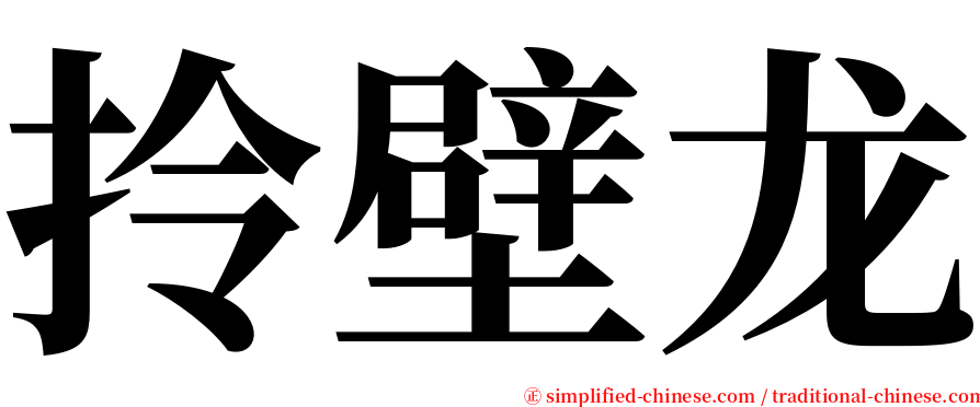 拎壁龙 serif font