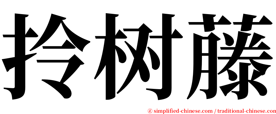 拎树藤 serif font